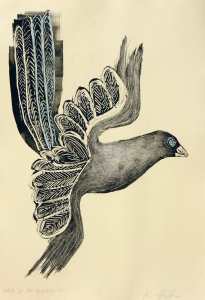 MonoWhereDoMyBluebird